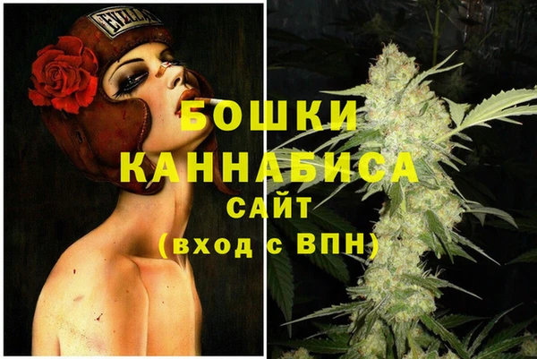 прущие грибы Абдулино