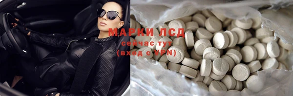 прущие грибы Абдулино